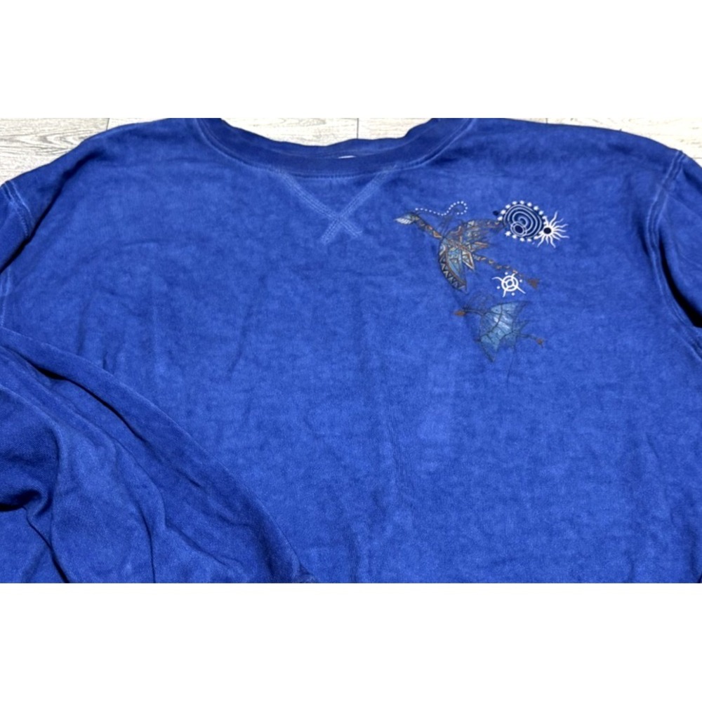 Disney Parks Avatar Pandora Banshee Sweatshirt Pullover Blue Mineral Wash MEDIUM